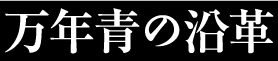 万年青の沿革